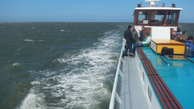 HWK Texel 2015 089.jpg